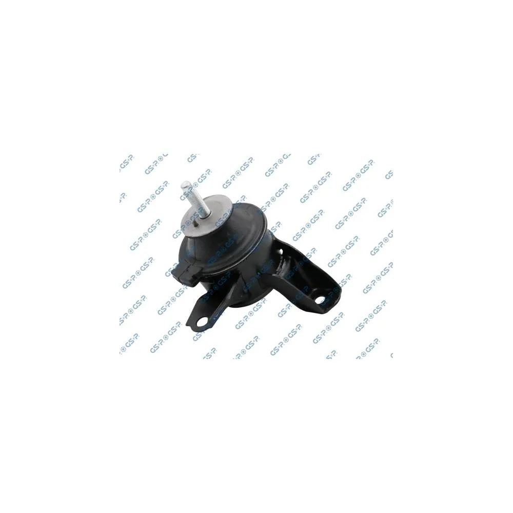 Set Motor GSP - 514748