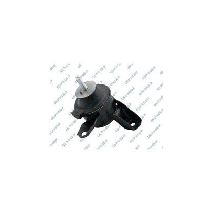 Set Motor GSP - 514748