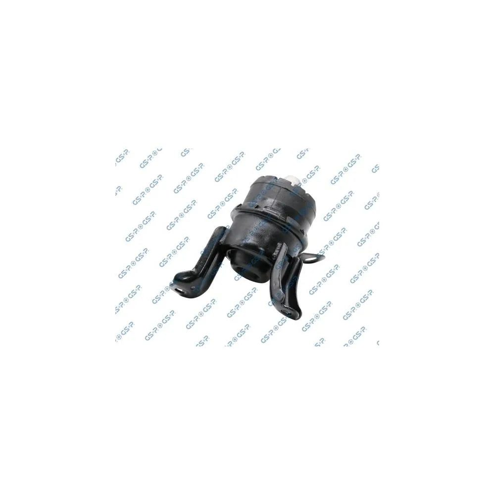 Set Motor GSP - 514756