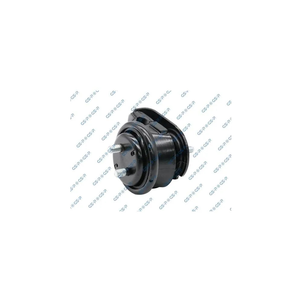 Set Motor GSP - 514772