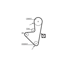 Curea Distributie Gates - 5175XS