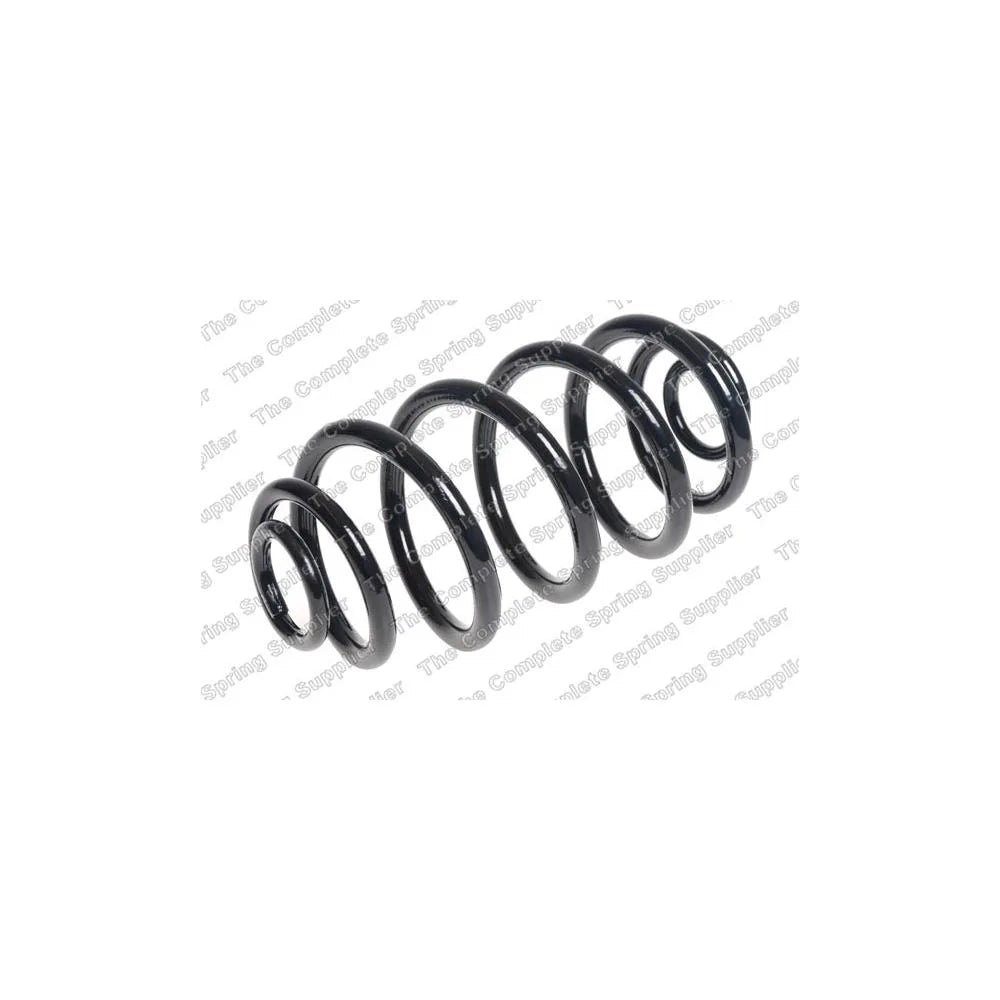 Punte Spate Lesjofors - 5263498