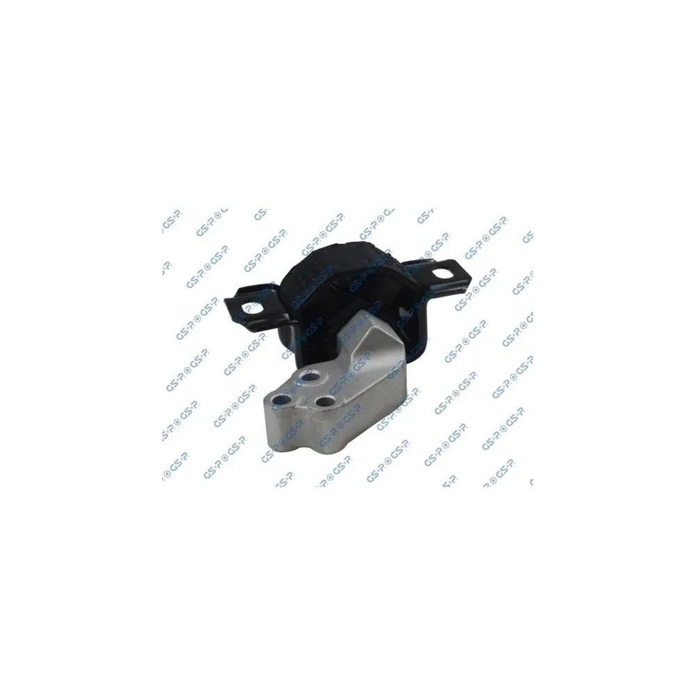 Set Motor GSP - 530883