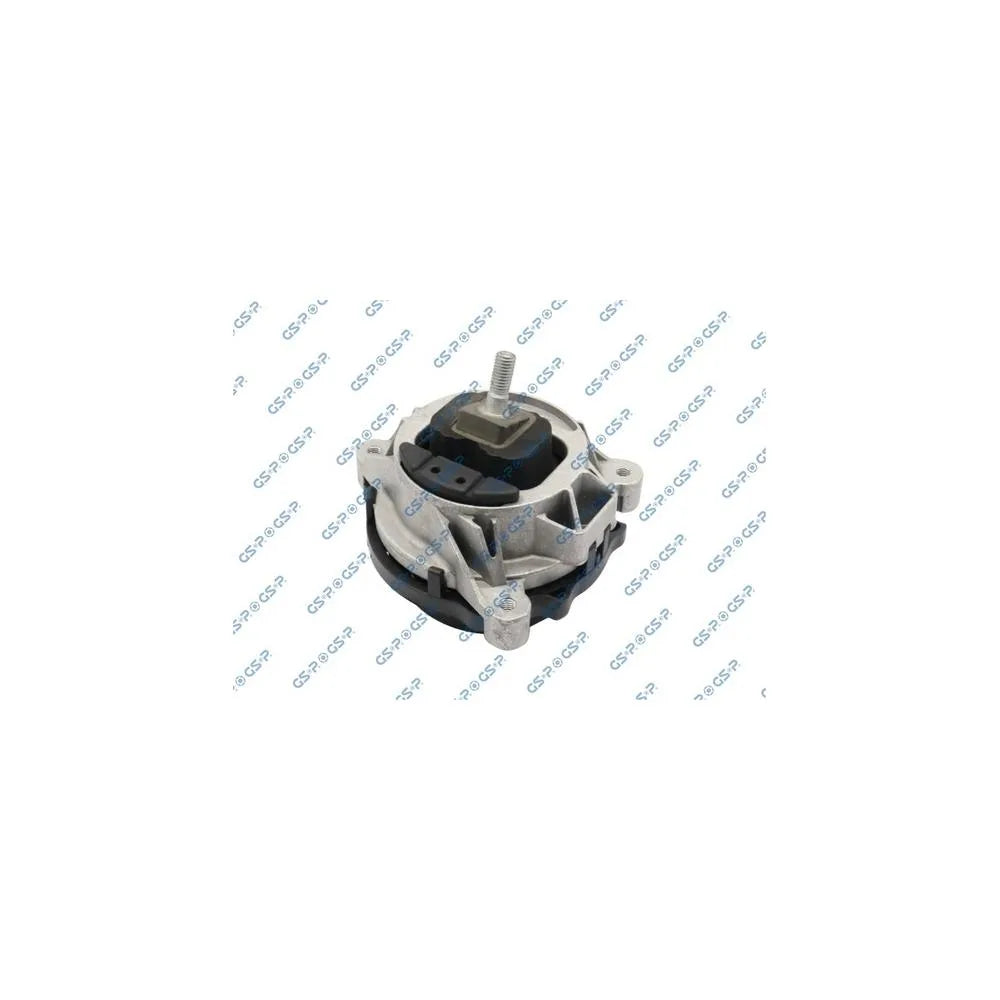 Set Motor GSP - 533873