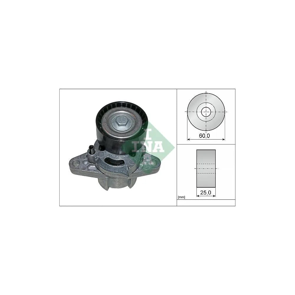 Intinzator, Curea Transmisie INA - 534027110