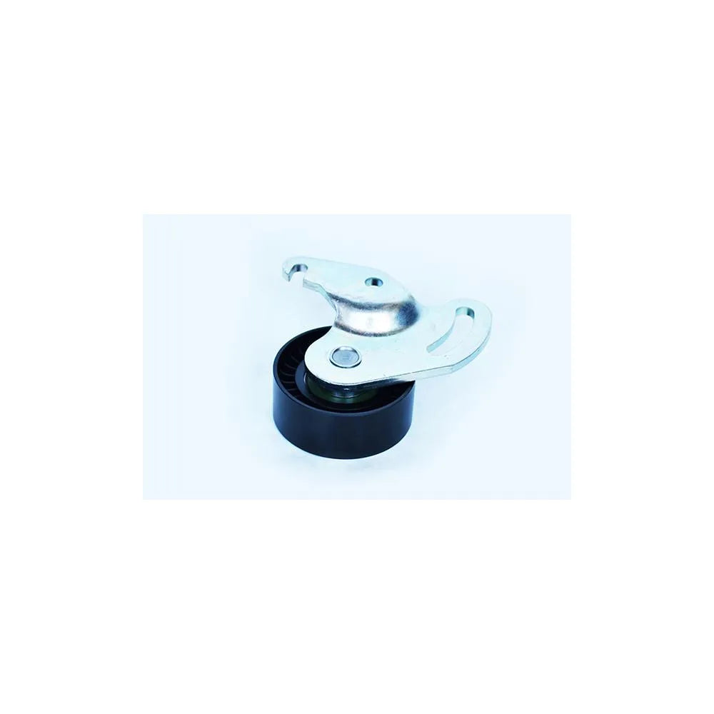 Alte Piese Transmisie Asam Automotive - 55062