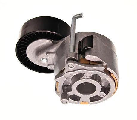 Intinzator Curea, Curea Distributie Maxgear - 56024MG