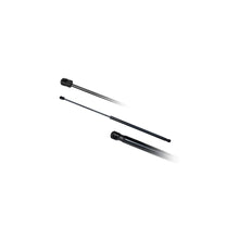 Amortizoare Asam Automotive - 56355