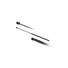 Amortizoare Capota Asam Automotive pentru Audi A4, Seat - 56366