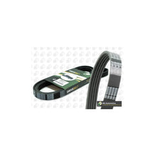 Set Curea Transmisie Continental Ctam - 5PK915