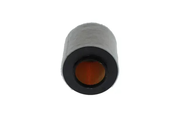 Filtru aer, BMW, 232x169x165 mm, Bosch F026400095