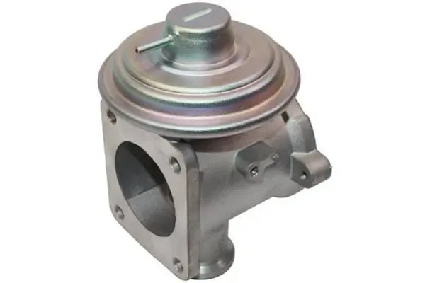 Supapa EGR, BMW, 220x124x120 mm, Magneti Marelli EV093