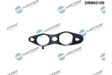 Garnitura supapa EGR Fiat scudo 2.0D 10- Dr.Motor Automotive - DRM02100