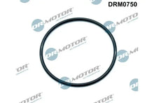 Garnitura, galerie admisie Dr.Motor Automotive - DRM0750