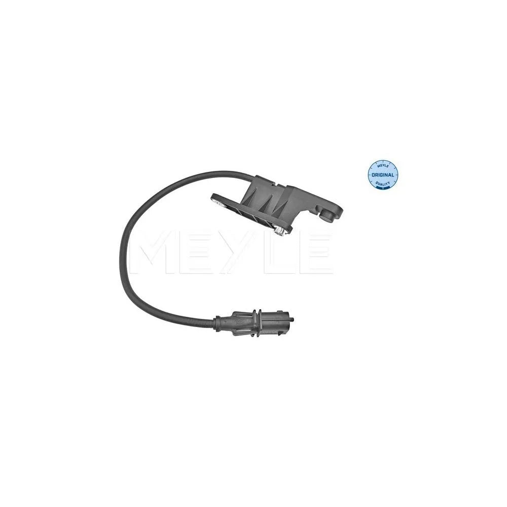 Senzor, Pozitie Ax Cu Came Meyle - 6148000019