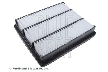 Filtru aer, Hyundai, 276x241x68 mm, Blue Print ADG02247