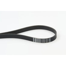 Curea Transmisie Cu Caneluri Continental Ctam - 6PK1217