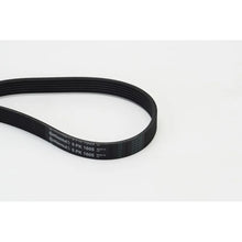 Contact Auto Continental Ctam - 6PK1605