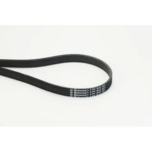 Curea Transmisie Cu Caneluri Continental Ctam - 6PK1642