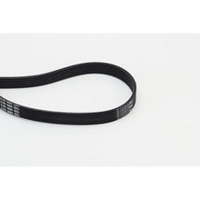 Contact Auto Continental Ctam - 6PK1660
