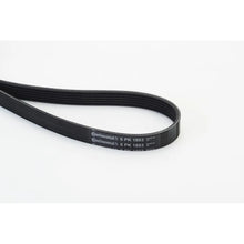 Contact Auto Continental Ctam - 6PK1893