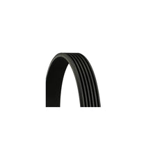 Curea Transmisie Cu Caneluri Continental Ctam - 6PK2380