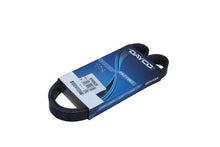 Curea Transmisie Cu Caneluri DAY - 6PK962SDAY