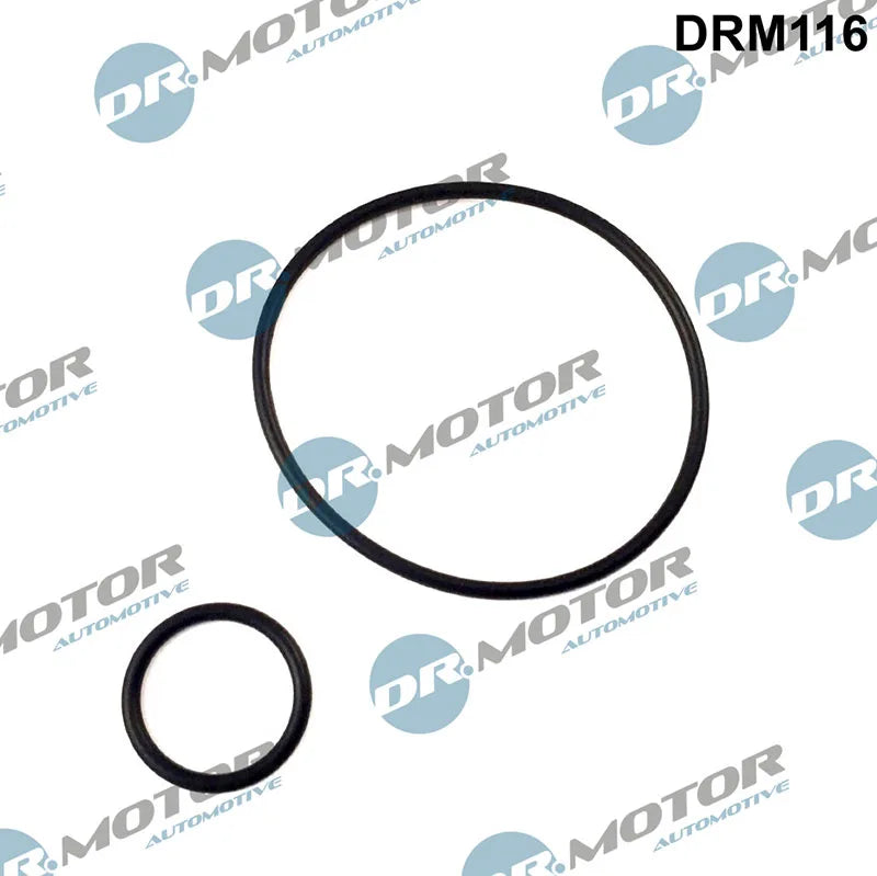 Set garnituri galerie admisie Automotive, Citroen, Fiat, Peugeot, 101x60x4 mm, Dr Motor DRM116