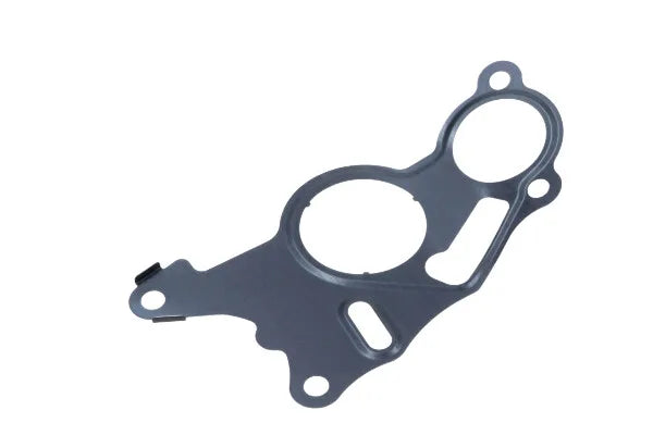 Garnitura, Pompa Vacuum Maxgear - 70-0131