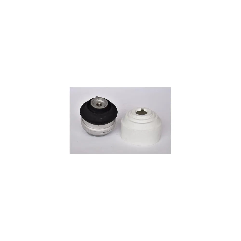 Suporti Motor ASAM Automotive - 76513