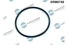 Garnitura, pompa vacuum Dr.Motor Automotive - DRM0748