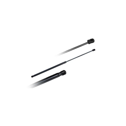 Amortizoare Asam Automotive pentru Renault Megane - 79617