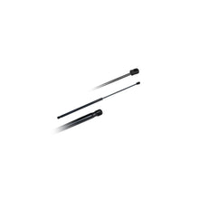 Amortizoare Asam Automotive - 79790