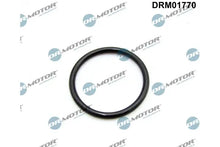 Garnitura, galerie admisie Dr.Motor Automotive - DRM01770