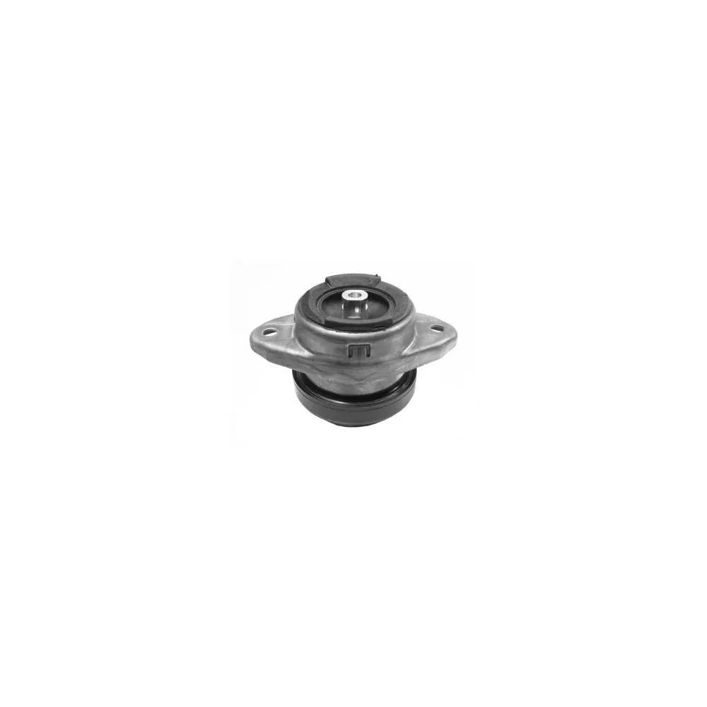 Set Motor Corteco - 80000041