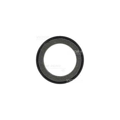 Simering, Arbore Cotit Victor Reinz - 81-34316-00
