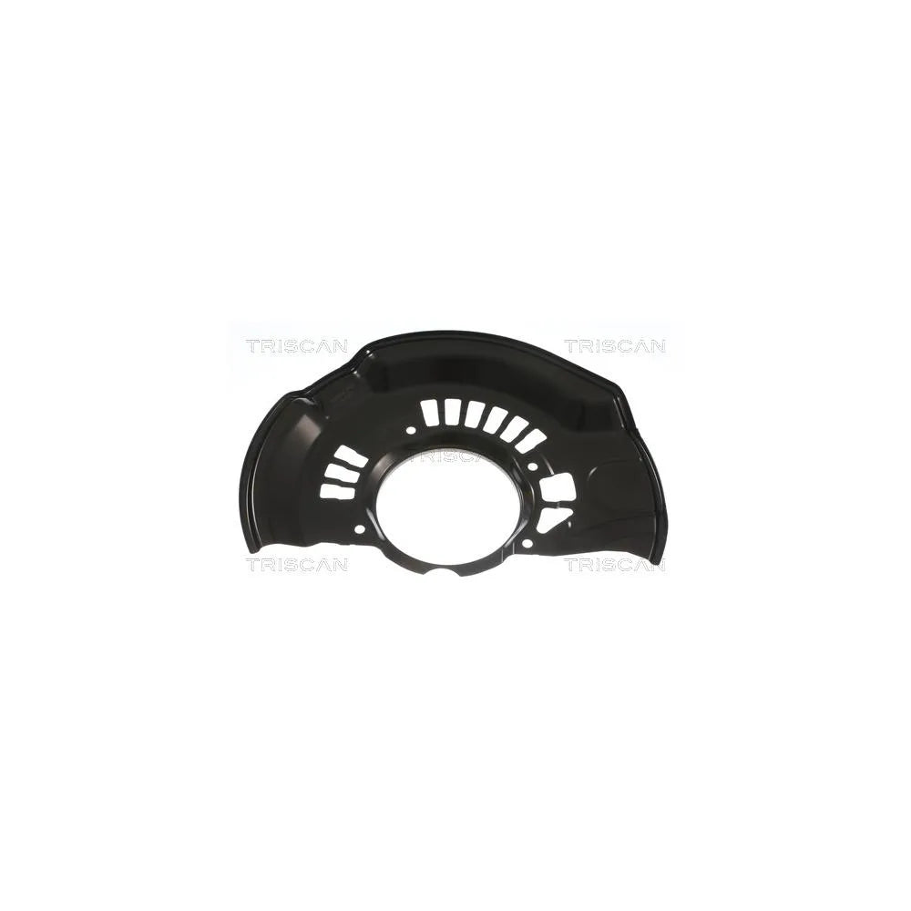 Protectie Stropire, Disc Frana Triscan - 8125 13120