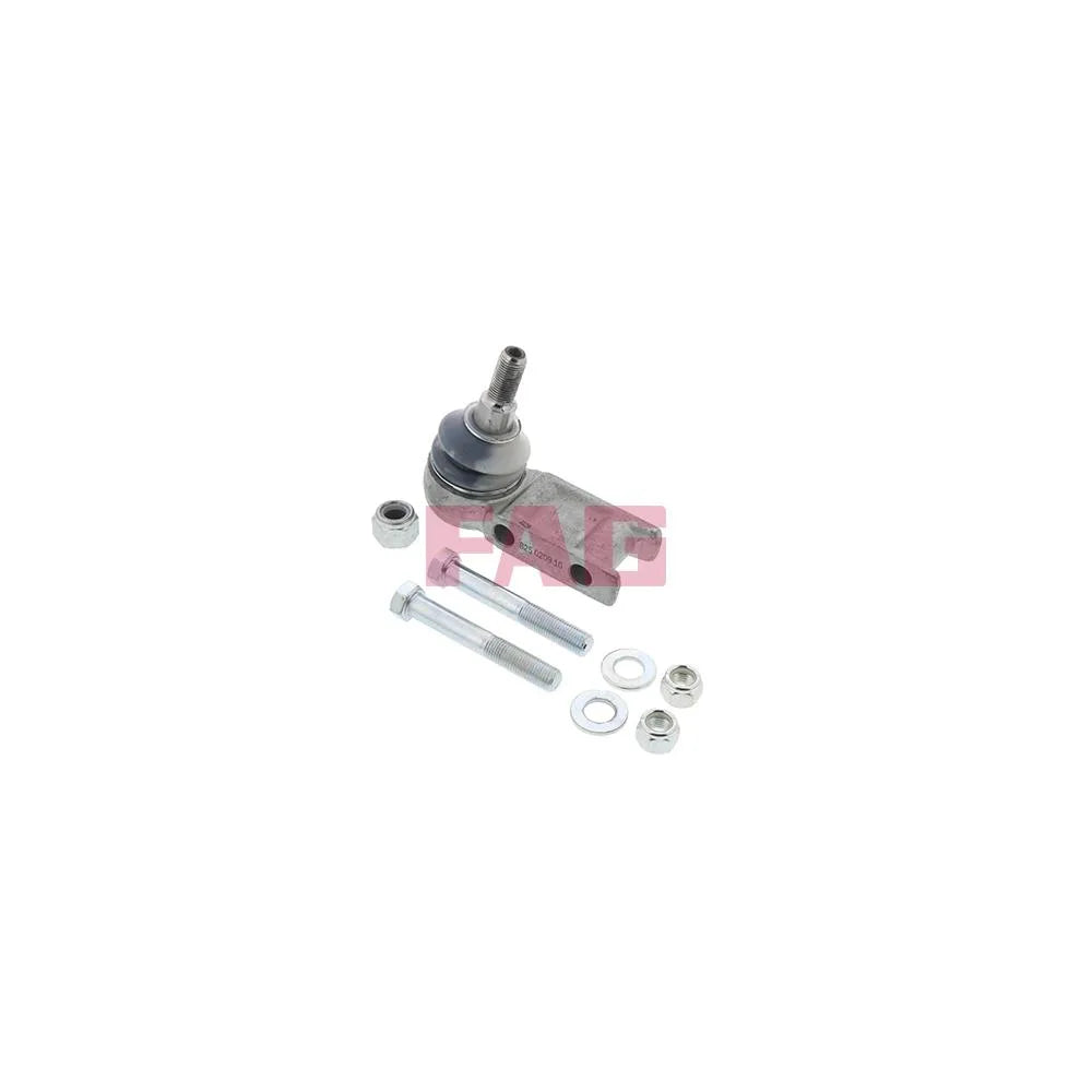 Pivot Schaeffler FAG - 825 0209 10