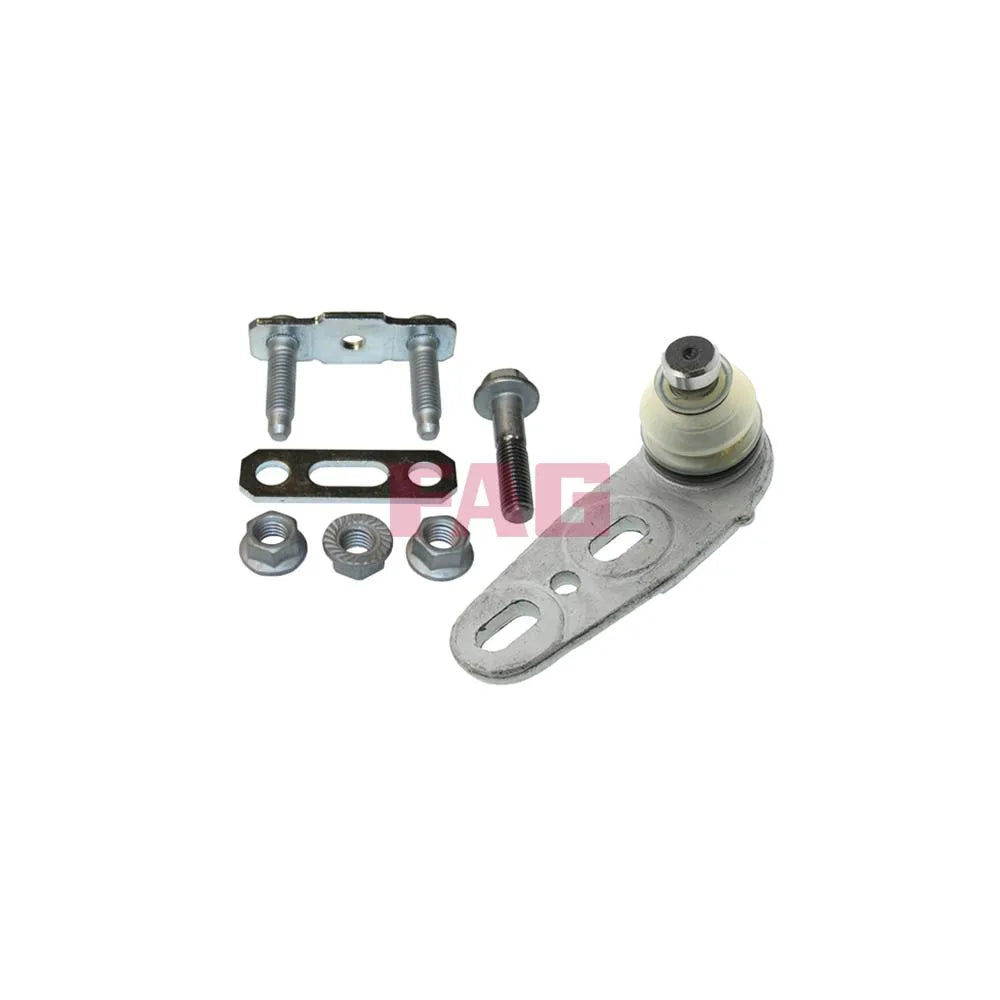 Pivot FAG - 825 0289 10