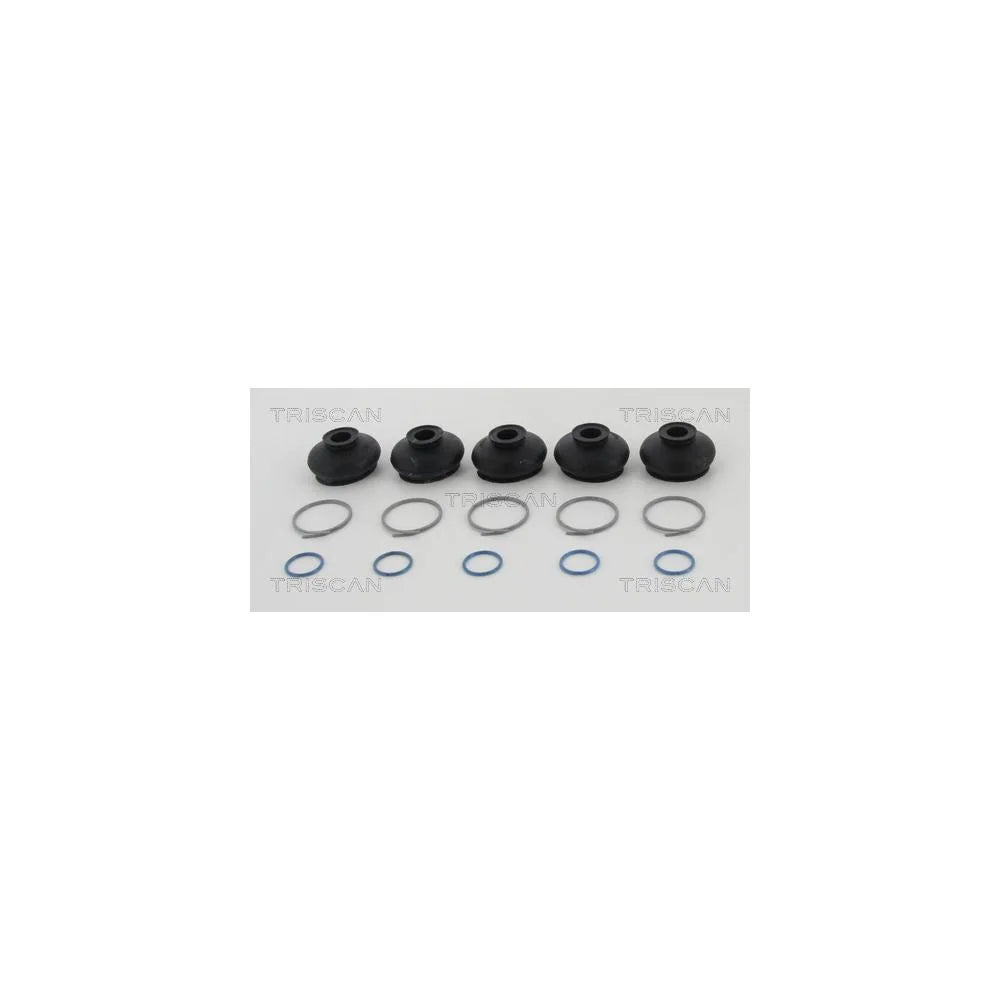 Ansamblu Burduf, Directie Triscan - 8501 3312