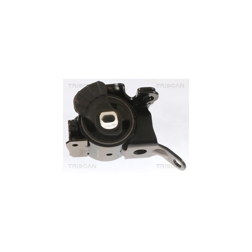 Set Motor Triscan - 8505 50100