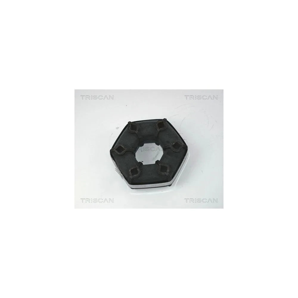 Hardtop Triscan - 8540 16301