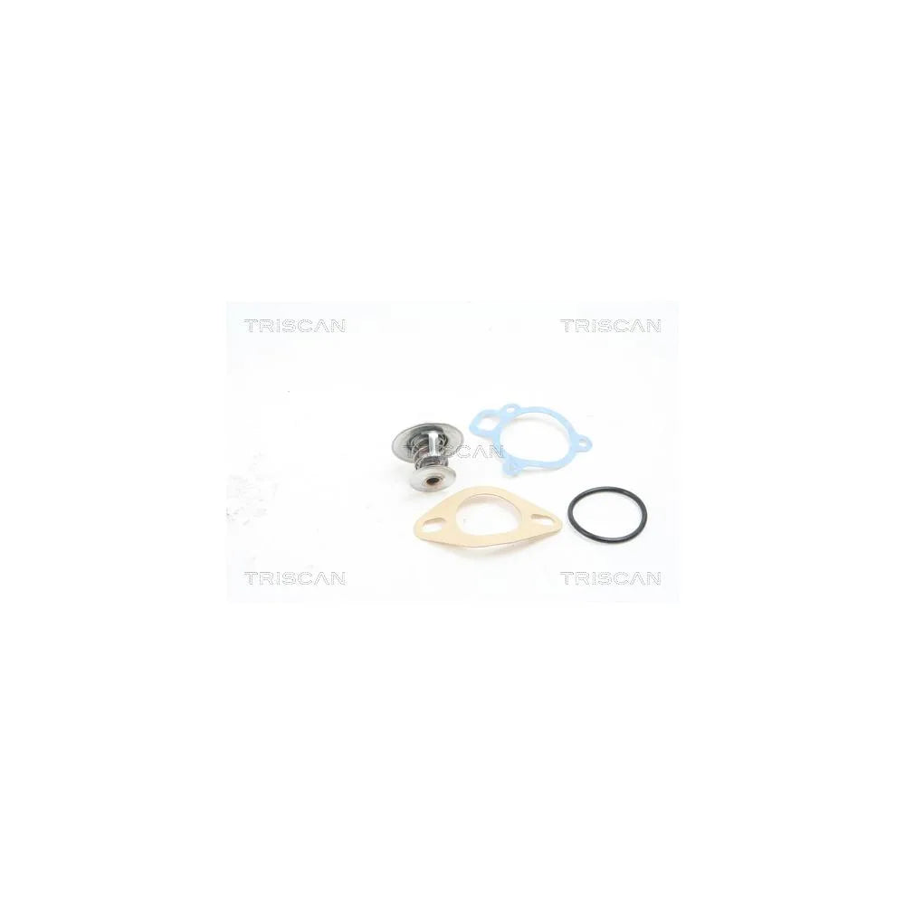 Termostat Auto TRISCAN - 8620 2391