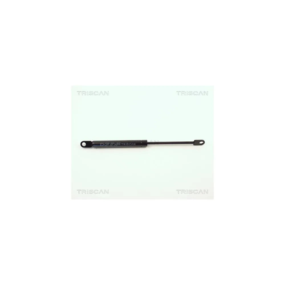 Capota Triscan - 8710 1101