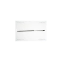 Amortizoare TRISCAN - 8710 11226