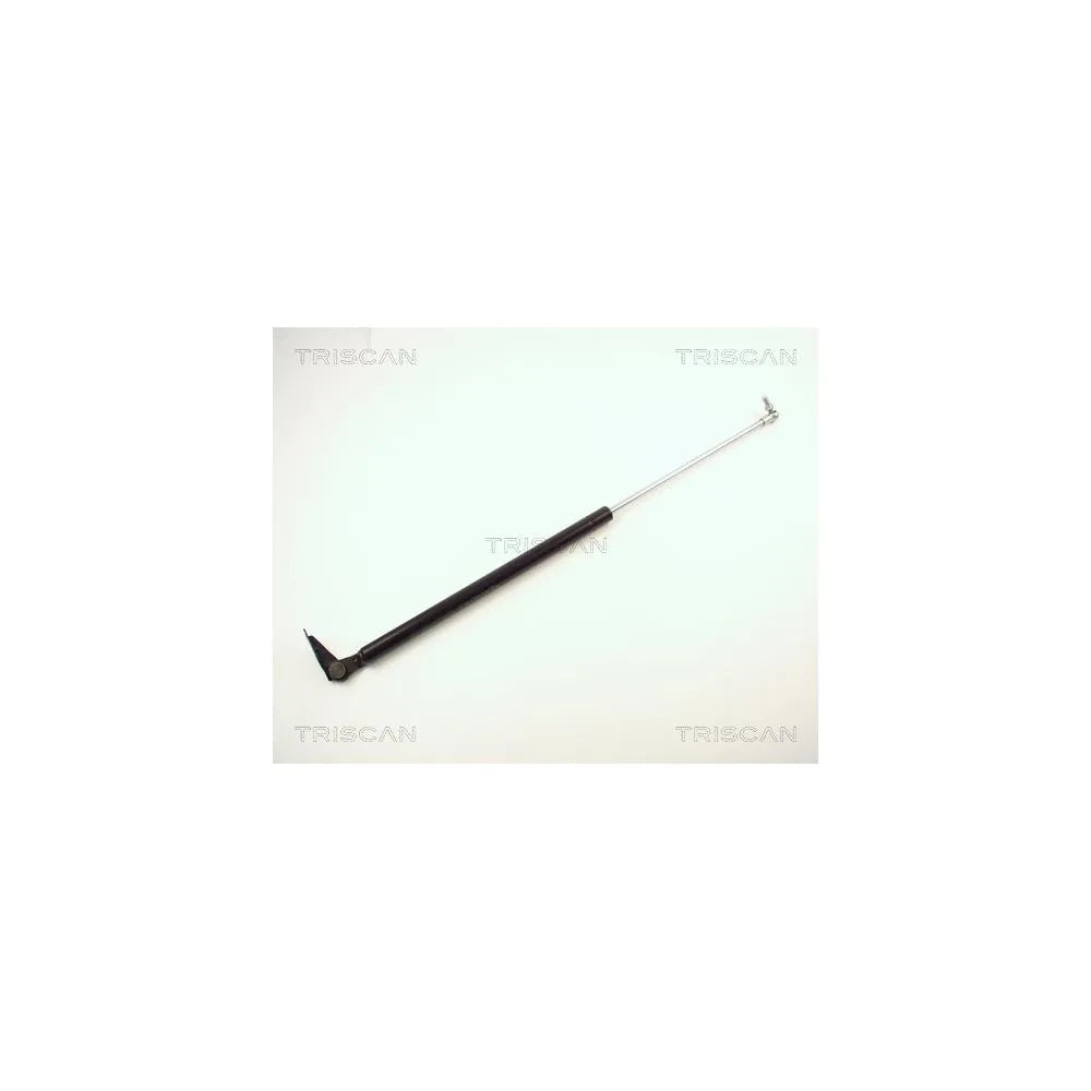 Haion Triscan - 8710 13246