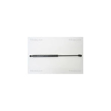 Amortizoare TRISCAN - 8710 13267
