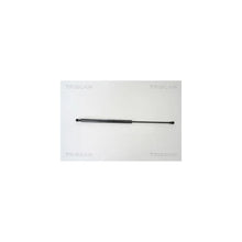 Amortizoare TRISCAN - 8710 14242