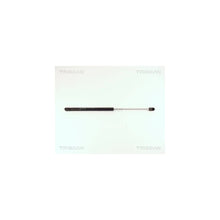 Amortizoare TRISCAN - 8710 15207