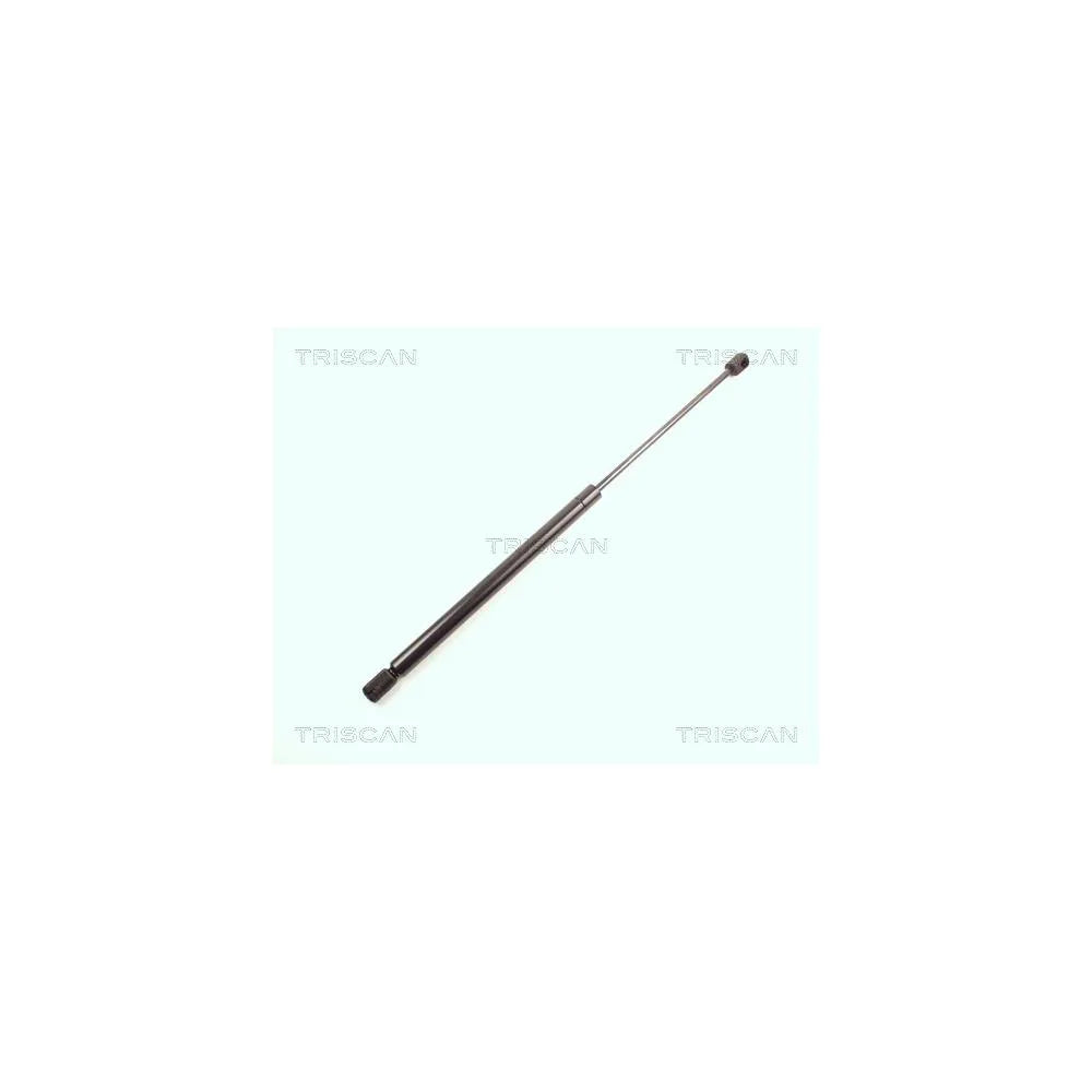 Amortizoare TRISCAN - 8710 15225